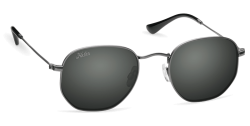 Hobie Polarized Sunglasses Delray 919108 Grey Motion Lens